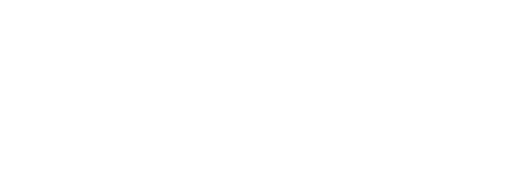 Divine Savior Lutheran Church White Logo